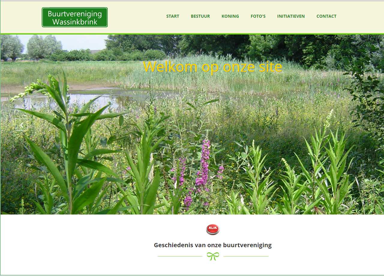 De officiële website van de Buurtvereniging Wassinkbrink.